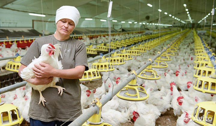 Упаковщики фасовщики