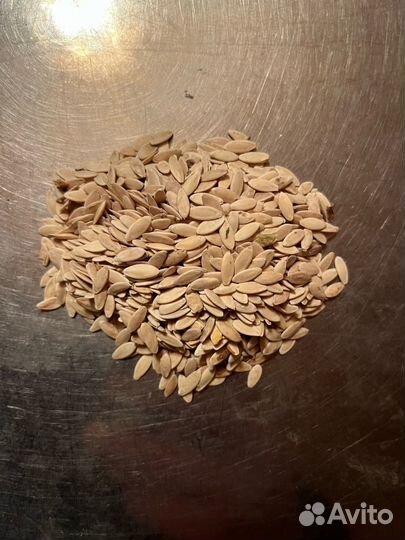 Семена огурцов