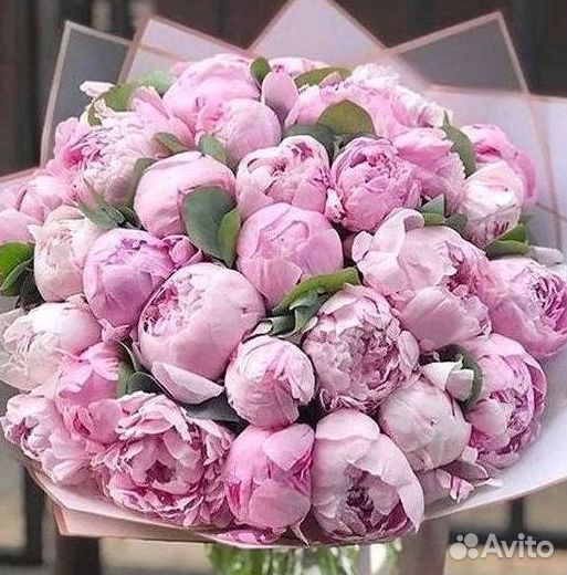 Пионы Розы Доставка
