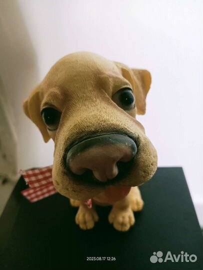 Лабрадор сувенир