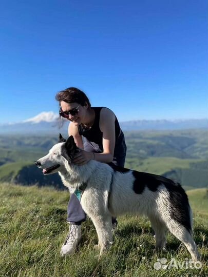 Туры на Бермамыт