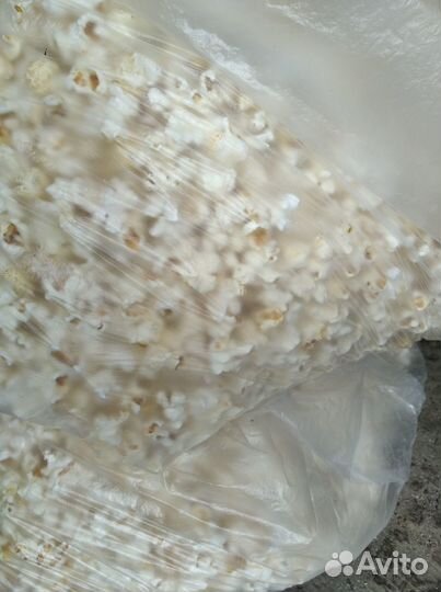 Пищевые отходы 15р/кг