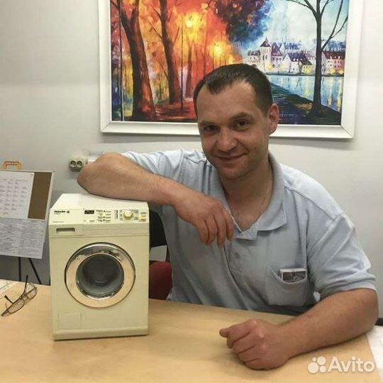 Ремонт стиральной машины Miele