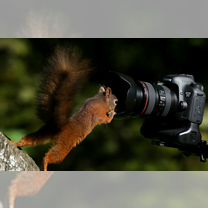 Услуги профессионального фотографа