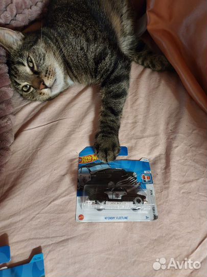 '47 Chevy Fleetline Hot Wheels