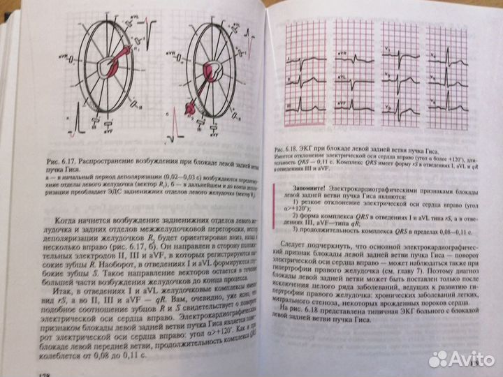 Мурашко, Струтынский Электрокардиография