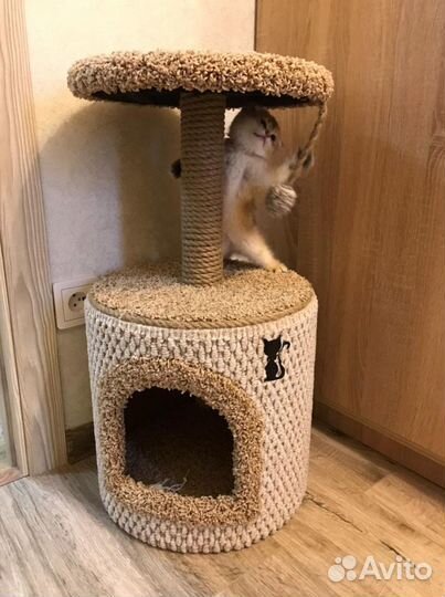 Домик - когтеточка, лежанка для котов(кошек) новый