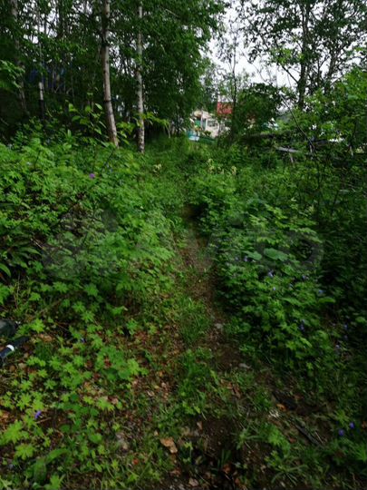 Участок 10 сот. (СНТ, ДНП)