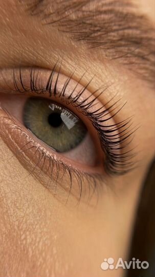 Наращивание, ламинирование ресниц, укладка бровей