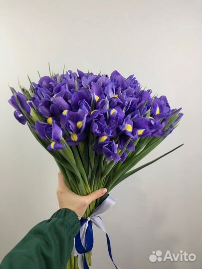 Ирисы, букет ирисов, доставка цветов