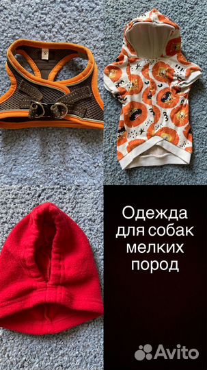 Одежда для мелких