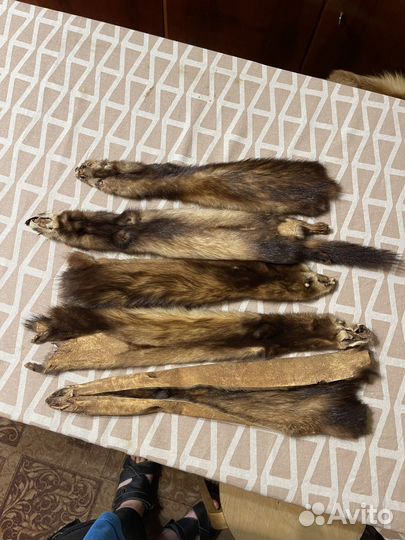 Шкурки лисы, енота, барашки, норки, барсука