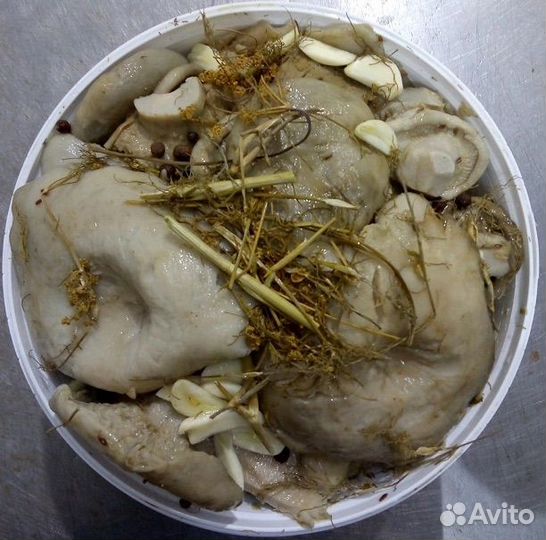 Маринованые грибы оптом