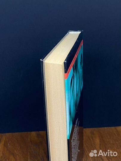 Прокурор для Лютого