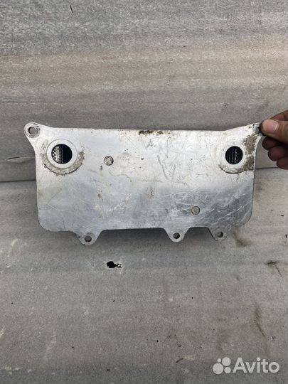 Радиатор маслянный Audi A6 C6 S8