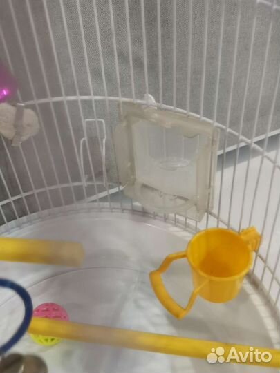 Клетка для попугая