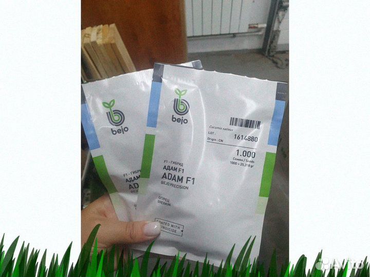 Семена Огурец Адам 1000с Бейо