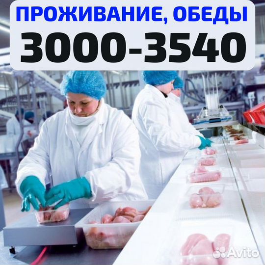 Выезд из Чебоксар, вахта Нижний Новгород упаковщик