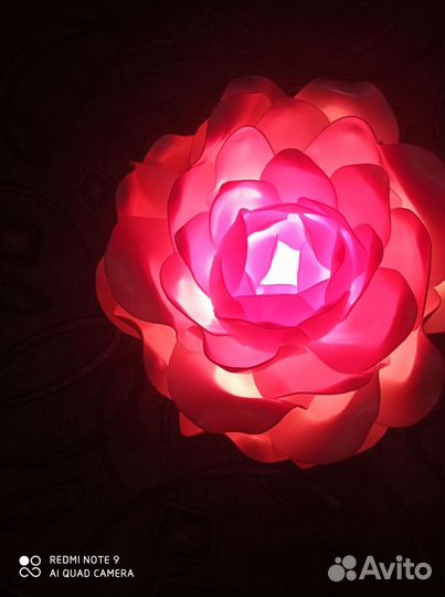 Ростовые цветы с подсветкой и без