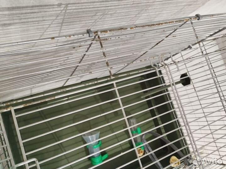 Клетка для птиц 58*40*48