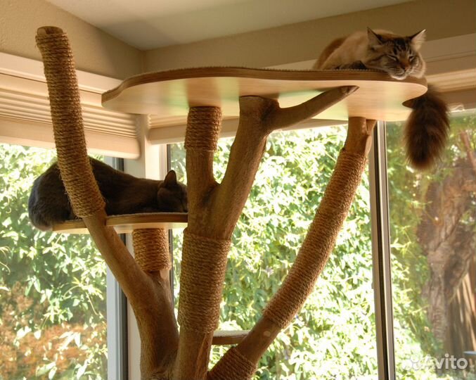 Когтеточка- домик для кошек