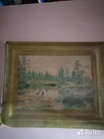 Болото. Полесье. Репродукция