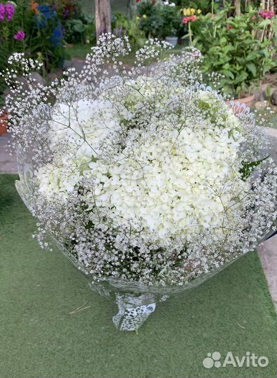 Букеты корни садовых цветов