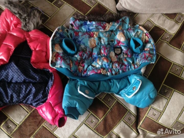 Одежда для не больших собачек