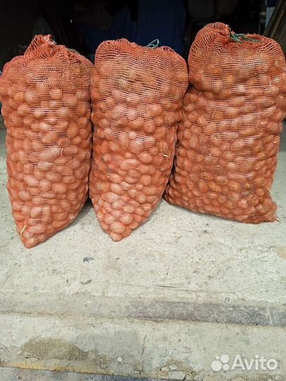 Мелкий картофель, семенной