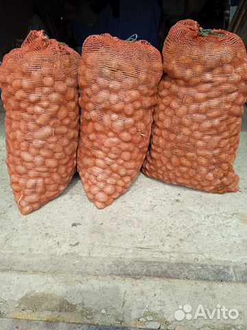 Мелкий картофель, семенной