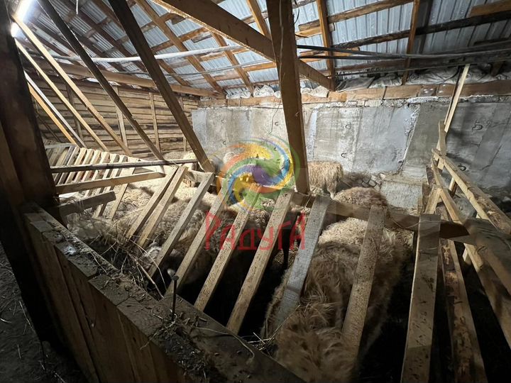 Готовый бизнес (Ферма и пилорама)