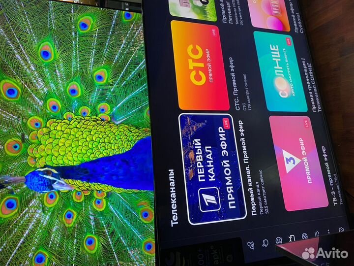 Самый опасный mini-LED 120 Гц огромный 65