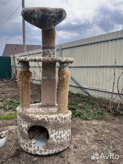 Кошачий Домик