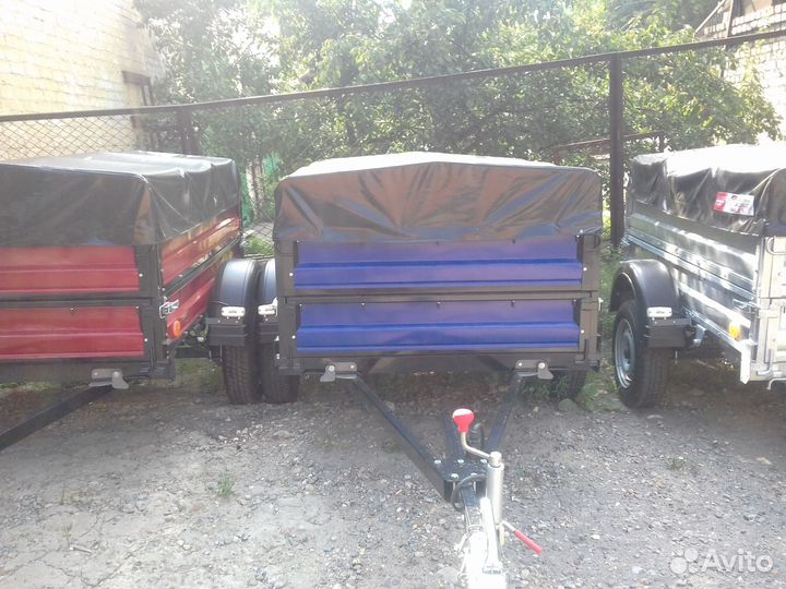 Крепыш окрашенный