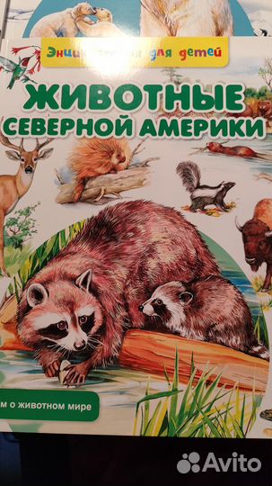 Энциклопедия для детей