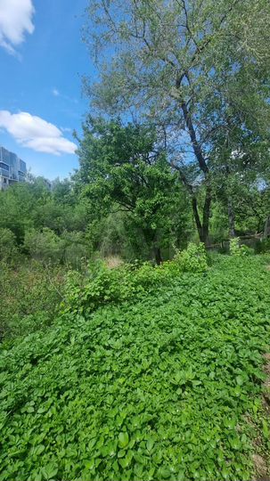 Дом 37,2 м² на участке 6 сот.