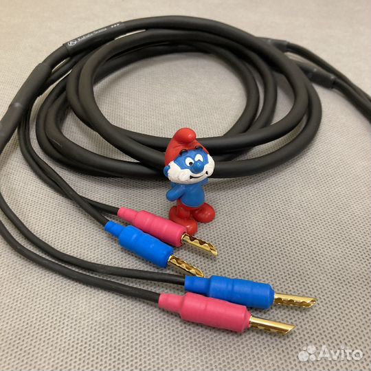 Kubala-Sosna Imagination BFA 5.0m