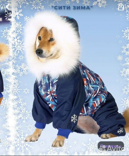 Одежда для средних собак
