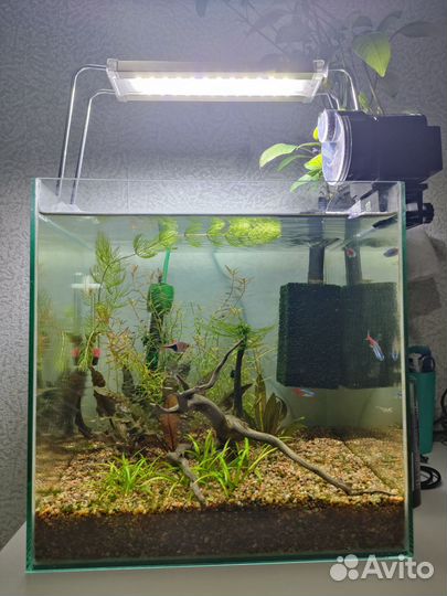 Аквариум