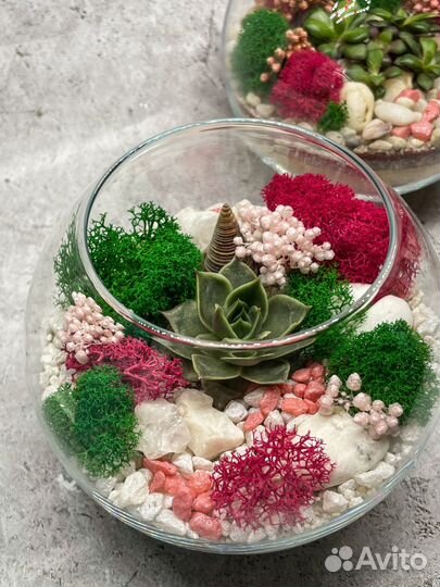 Флорариум. Подарок