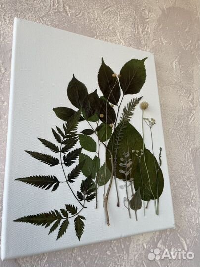 Картина из сухоцветов