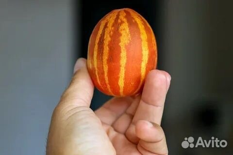 Семена вьетнамской дыни