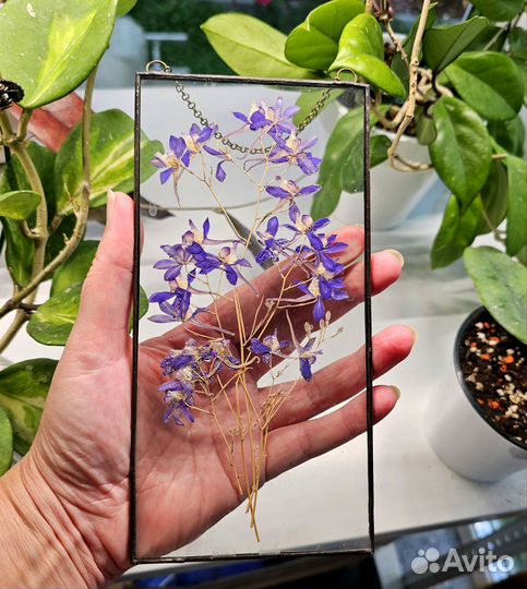 Цветы в стекле