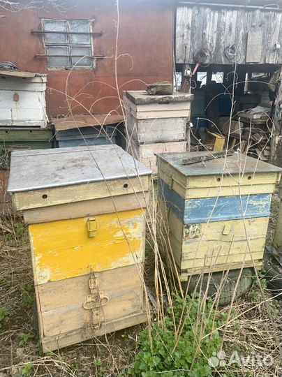 Улей для пчел бу