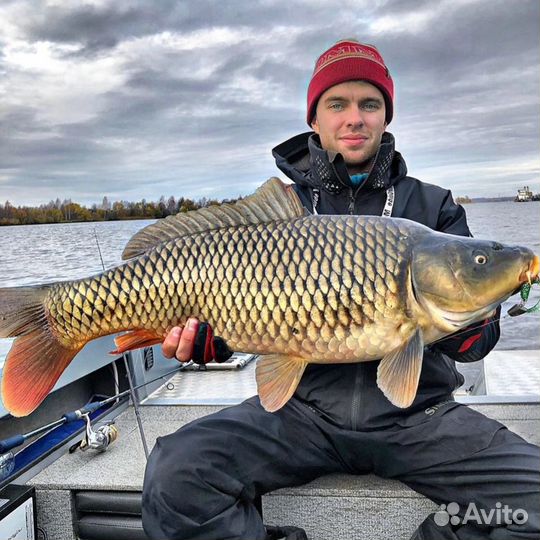 Рыбалка с Профессиональным гидом