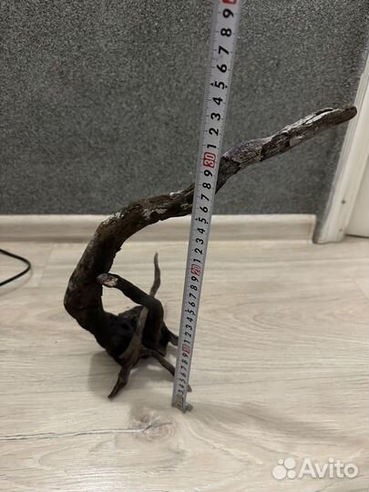 Коряга манговая,фильтра и ракушки