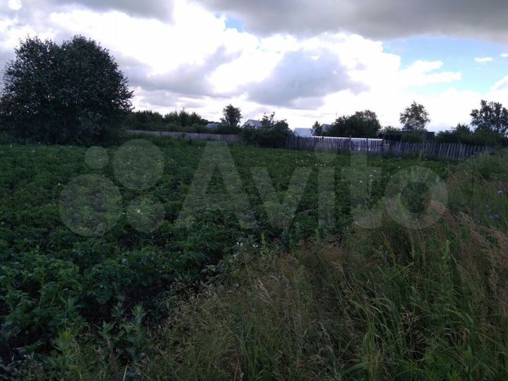 Дом 50 м² на участке 35 сот.