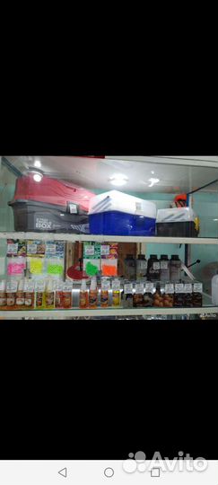 Наживка для рыбалки