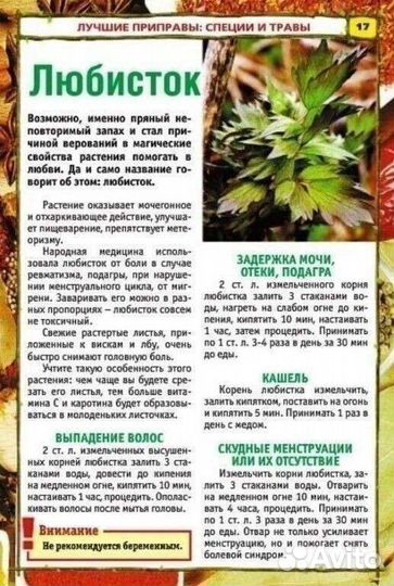 Лекарственные растения (а также специи)