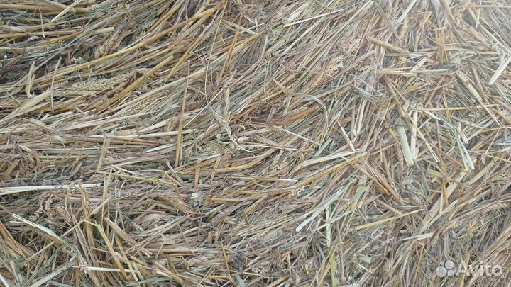 Сено/солома